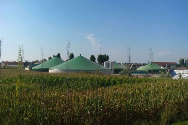 Biogas